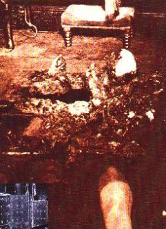 Тялото на Мери Райзър е изпепелено отвътре
